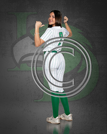 LDSB-DIGITAL-11