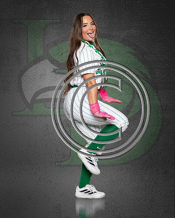 LDSB-DIGITAL-19