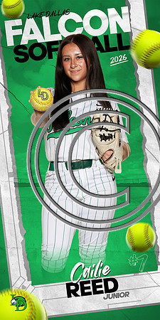 LDSB-DIGITAL-24