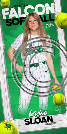 LDSB-DIGITAL-40