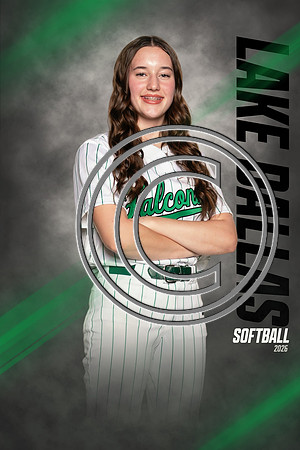 LDSB-DIGITAL-46