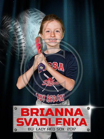 BriannaS-Steel