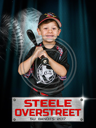 SteeleO-STL