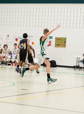 LDMS BB-12