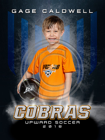 COBRAS-GageC-PRD