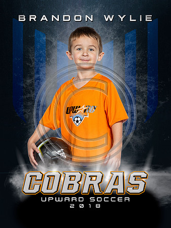 COBRAS-BrandonW-PRD