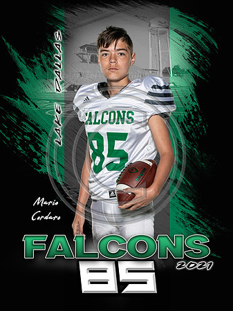 MarioC-LDFB-8TH