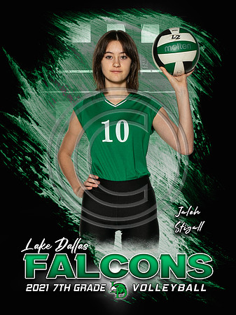 JalehS-LDVB-7th
