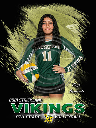 MyaM-SMS-VB