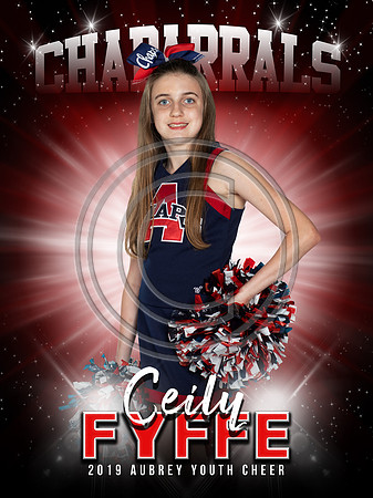 CeilyF-SPT