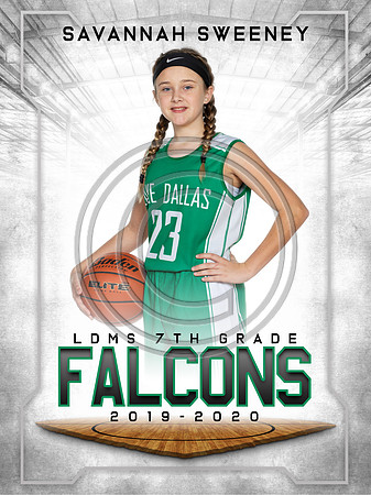 SavannahS-LDMS GBB