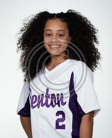 DHS-JV-2