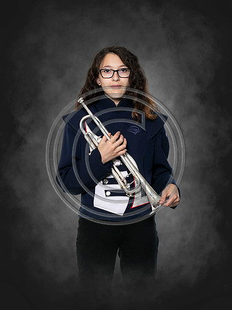 AUB-BAND-31