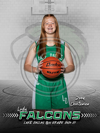 ZoeyC-LDMS 8GBB