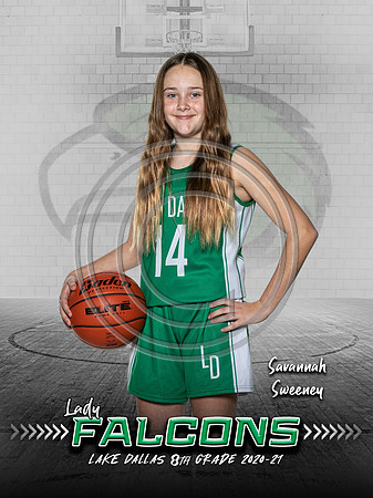 SavannahS-LDMS 8GBB